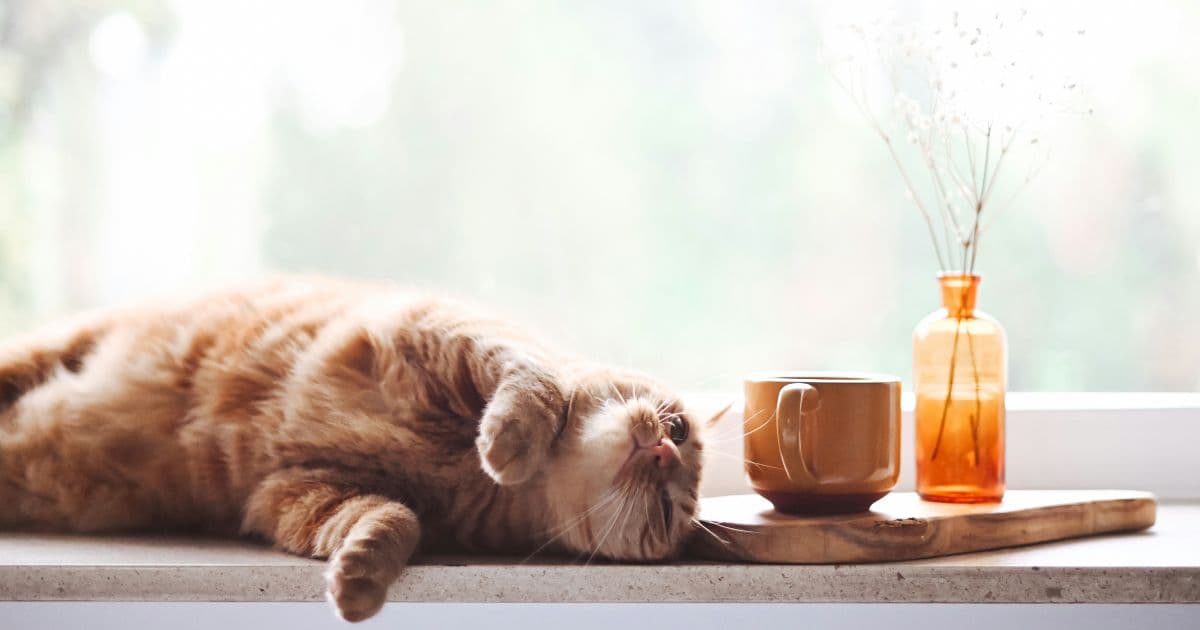 手間ゼロのイメージ